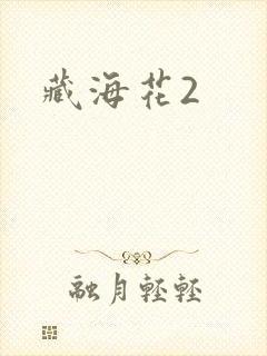 藏海花2