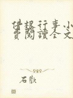 借根行事小说免费阅读全文在线阅笔趣无弹窗
