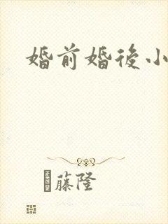 婚前婚后小说封面