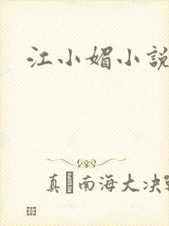 江小媚小说封面