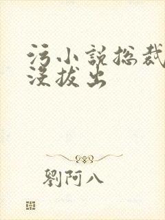 污小说总裁整夜没拔出封面