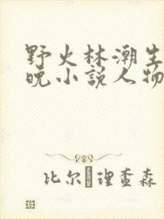 野火林潮生林晚晚小说人物野火封面