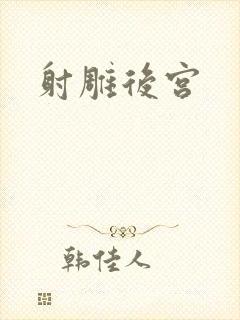 射雕后宫