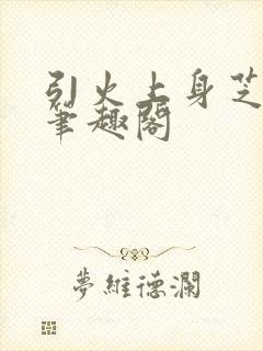 引火上身芝麻糖笔趣阁