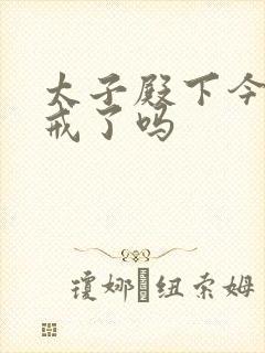 太子殿下今天破戒了吗封面