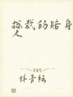 总裁的赔身小情人封面