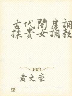 古代闺房调教h揉贵女调教记