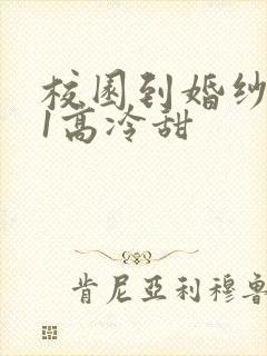 校园到婚纱1V1高冷甜封面