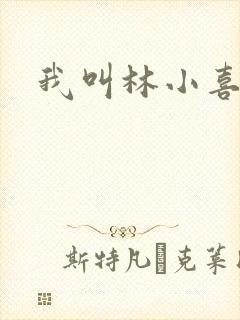 我叫林小喜17封面