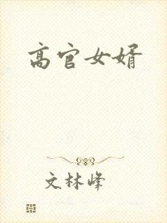 高官女婿