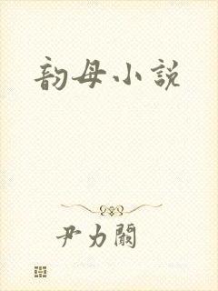 韵母小说