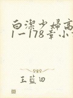 白洁少妇高义第1一178章小说