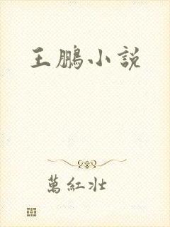 王鹏小说