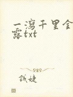 一泻千里金银花露txt