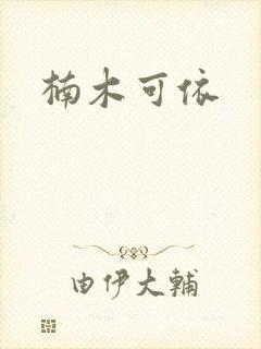 楠木可依封面
