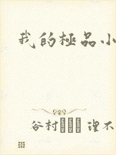 我的极品小姨