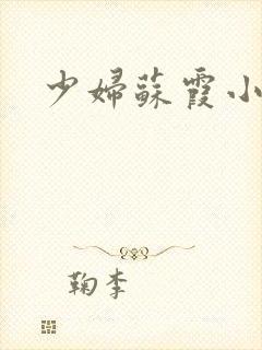 少妇苏霞小说