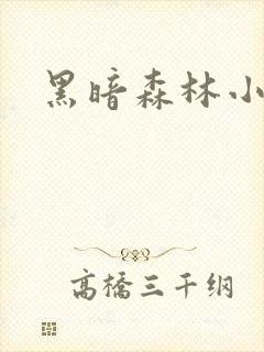 黑暗森林小说