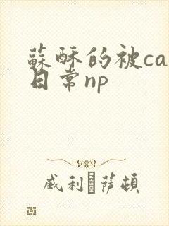 苏酥的被cao日常np