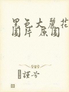黑色大丽花真实图片 原图