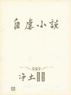 自虐小说封面