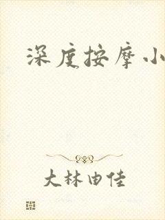 深度按摩小说