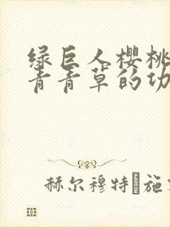 绿巨人樱桃荔枝青青草的功效封面