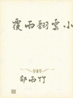 覆雨翻云小说