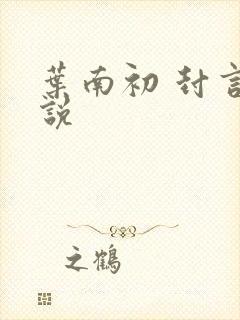 叶南初 封言小说