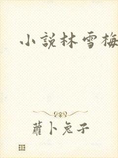 小说林雪梅