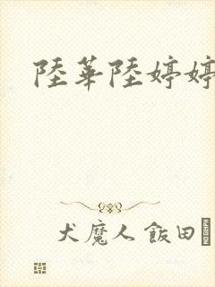 陆华陆婷婷