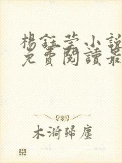 杨钰莹小说全文免费阅读最新章节封面