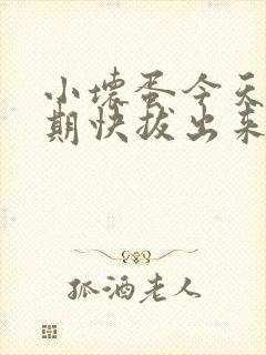 小坏蛋今天危险期快拔出来