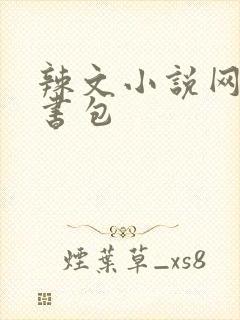 辣文小说网第二书包封面