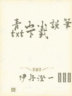 青山小说笔趣阁txt下载