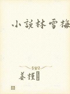小说林雪梅