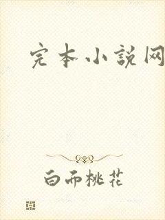 完本小说网