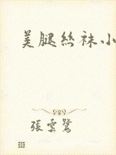 美腿丝袜小说封面