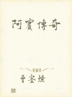 阿宾传奇封面