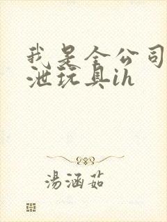 我是全公司的发泄玩具ih封面