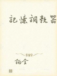 记忆调教器