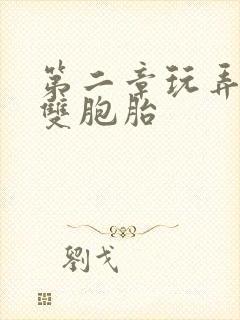 第二章玩弄少妇双胞胎封面