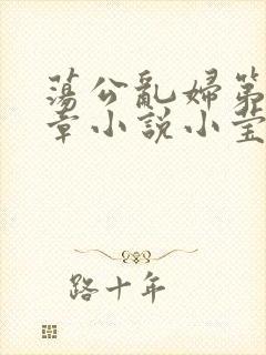 荡公乱妇第51章小说小莹封面