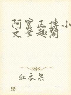 阿宾正传小说全文笔趣阁