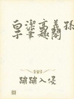 白洁高义孙倩东子笔趣阁封面