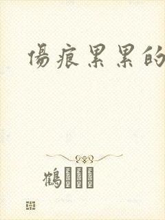 伤痕累累的勋章