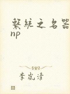 系统之名器攻略np