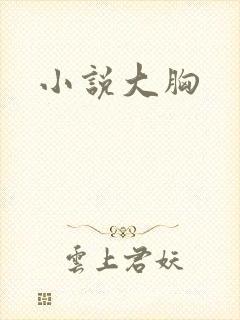 小说大胸