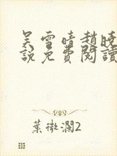 吴雪晴赵晓东小说免费阅读