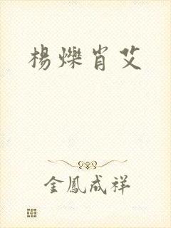 杨烁肖艾